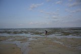 _DSC0939