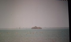 20161123_084914