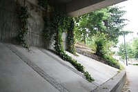 DSC09959