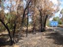 Brand Healesville