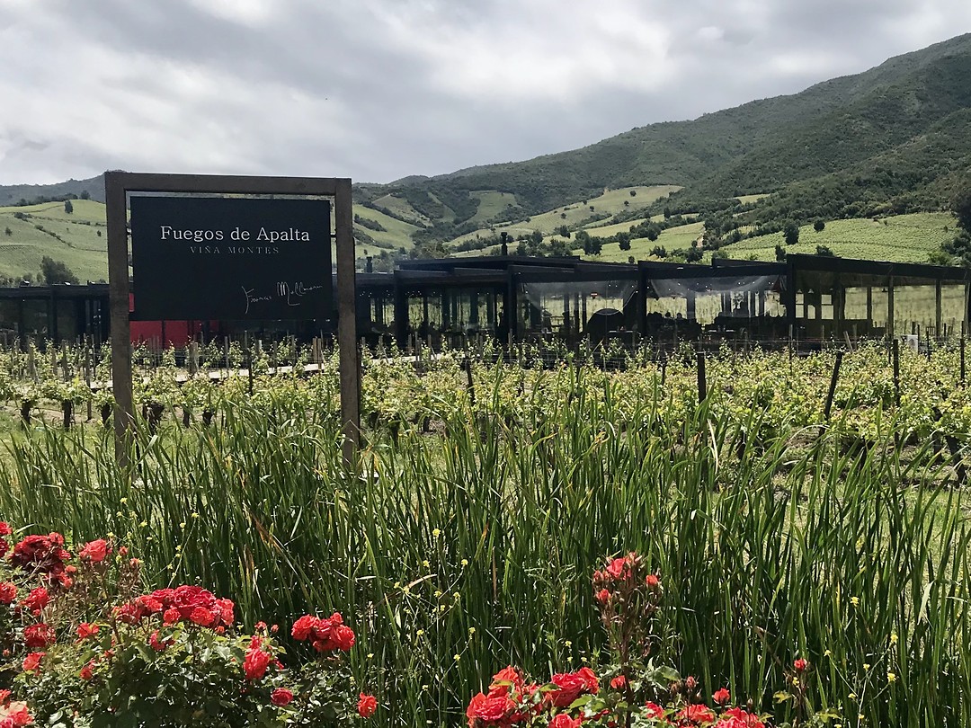 Lunch op Montes: Fuegos de Apalta