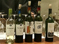 Tasting Viu Manent