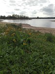 IMG-20180821-WA0002