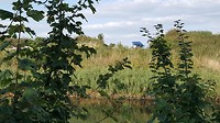 20180901_172527