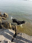 IMG-20180901-WA0013