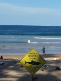 Manly Beach