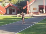 Maori's