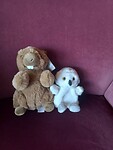 20240605 Junior en Berend Bergmarmot