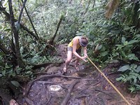 Door de jungle richting waterval hornoyaco