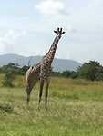 IMG-20200218-WA0004