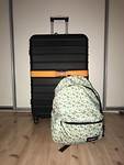 IMG_6534