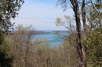 IMG_1499