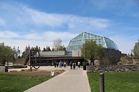 IMG_1514