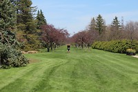 IMG_1523