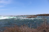 IMG_1546