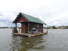 Australië 020 - Noosa Everglades