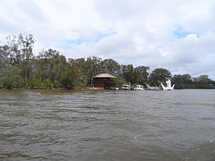 Australië 021 - Noosa Everglades