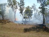 Bushfires