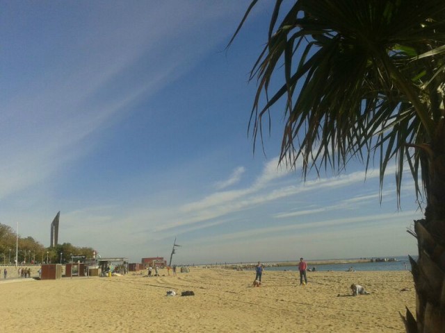 Strand