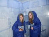 ''The Icebar''