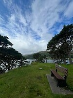 IMG_5982