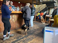 IMG_6511