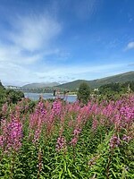 IMG_6714
