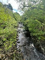 IMG_6733