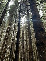IMG_6769