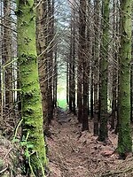 IMG_6770