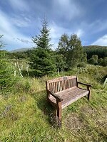 IMG_6792