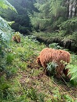 IMG_6801