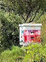IMG_6813