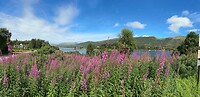 IMG_8583