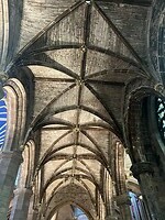 IMG_6954