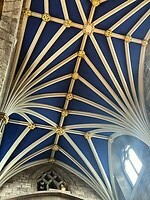 IMG_6965