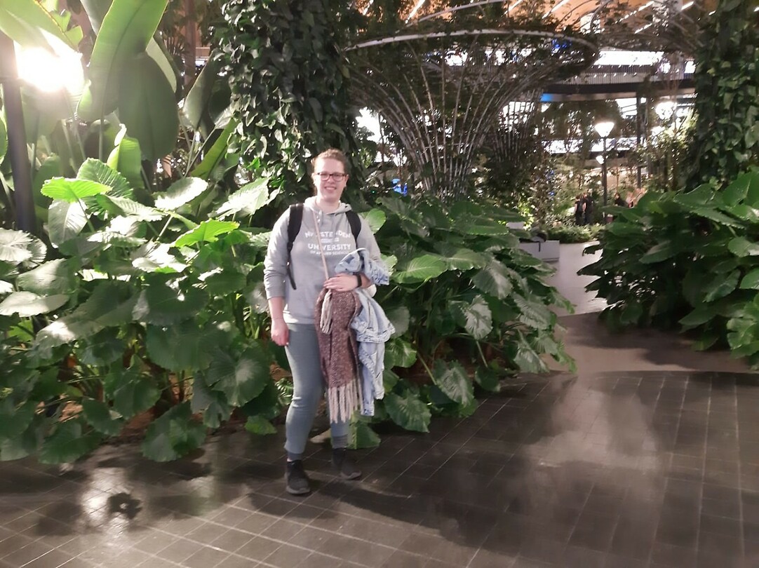 Regenwoud van Doha