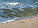 Punta Norte