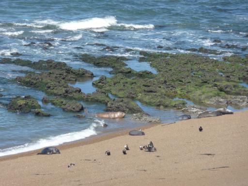 Punta Norte