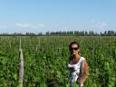 Mendoza 33