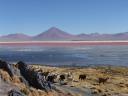 Salar de Uyuni 078