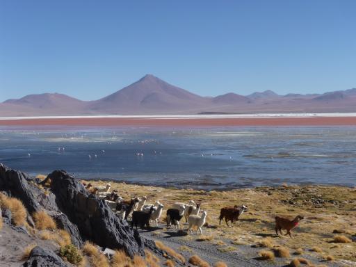 Salar de Uyuni 078
