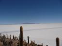 Salar de Uyuni 148