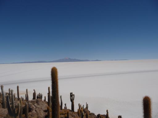 Salar de Uyuni 148