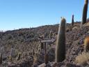Salar de Uyuni 152