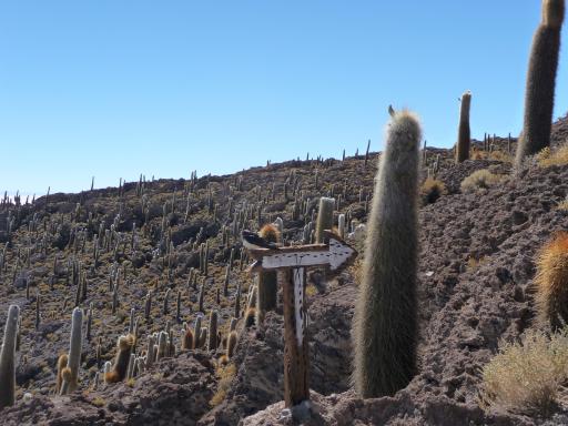 Salar de Uyuni 152