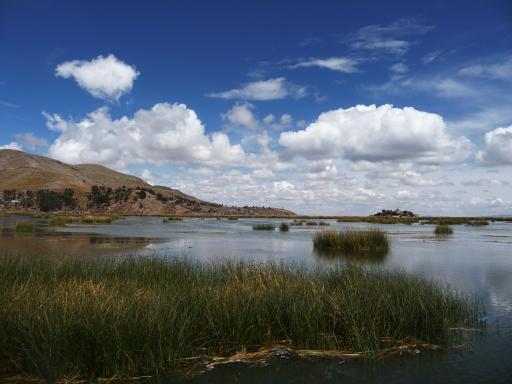 Puno