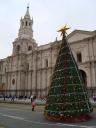 Xmas tree @ Arequipa