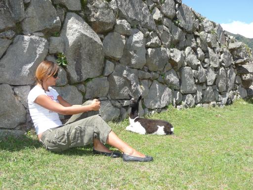 Machu Picchu 134