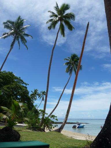 Fiji 074